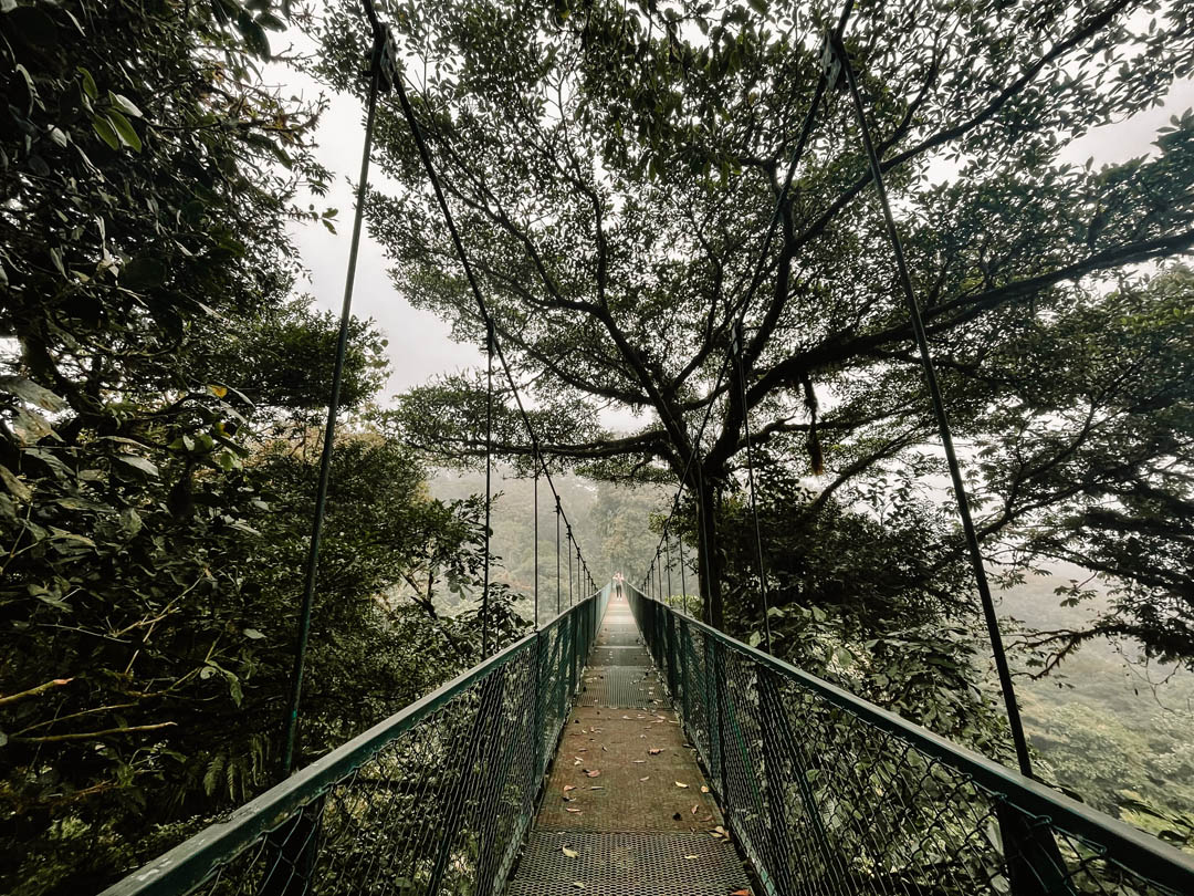 Monteverde Hanging Bridges, Costa Rica Reiseguide