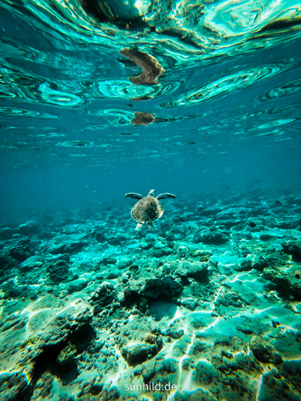 Nusa Lembongan Diving Snorkeling