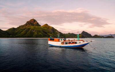 Komodo Island Tour: Pinke Strände & Komodo Drachen